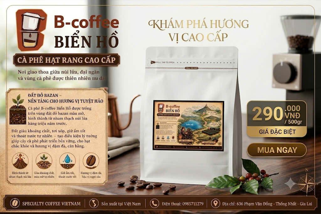 Cà phê hạt rang cao cấp B-coffee